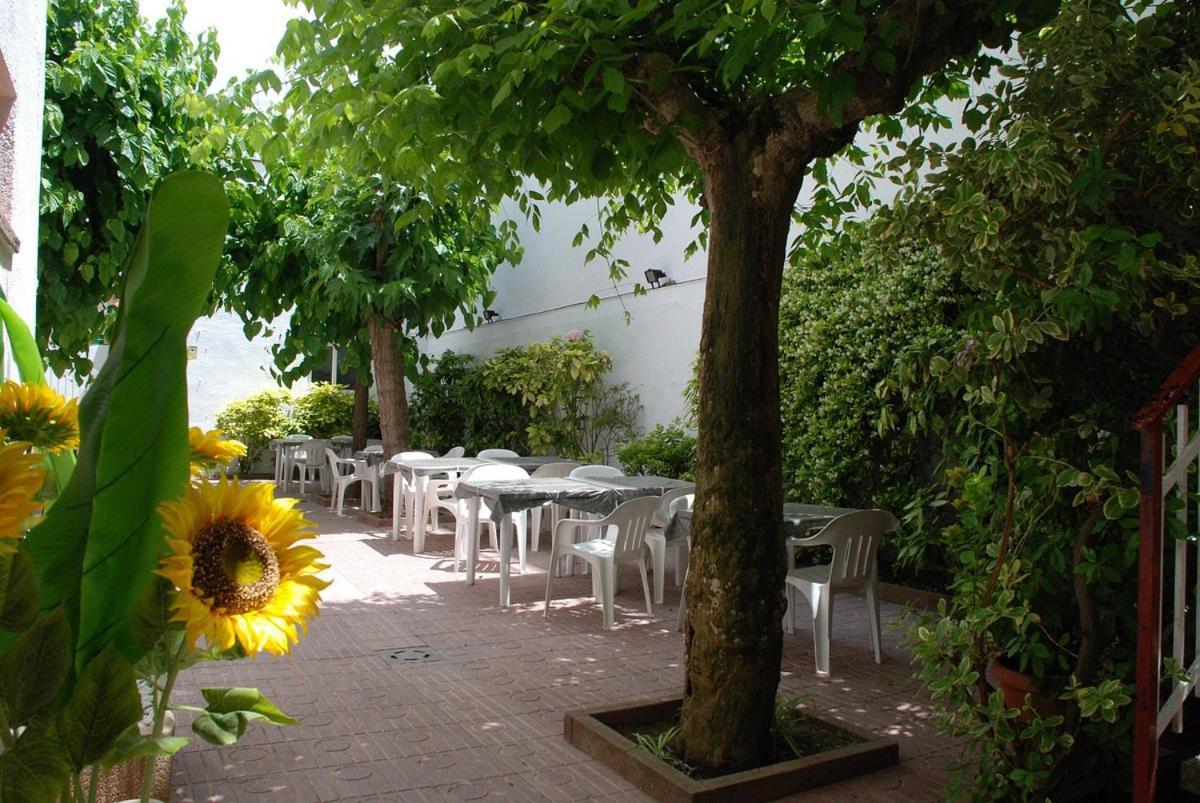 Hotel Armonia يوريت دي مار المظهر الخارجي الصورة
